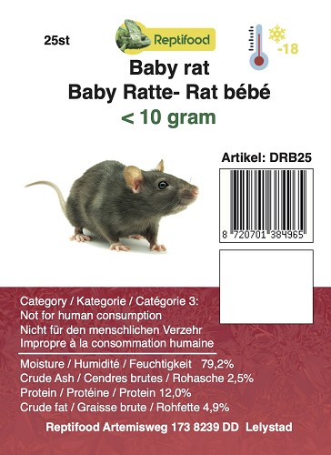 Diepvries Rat baby <10 gram 25st.